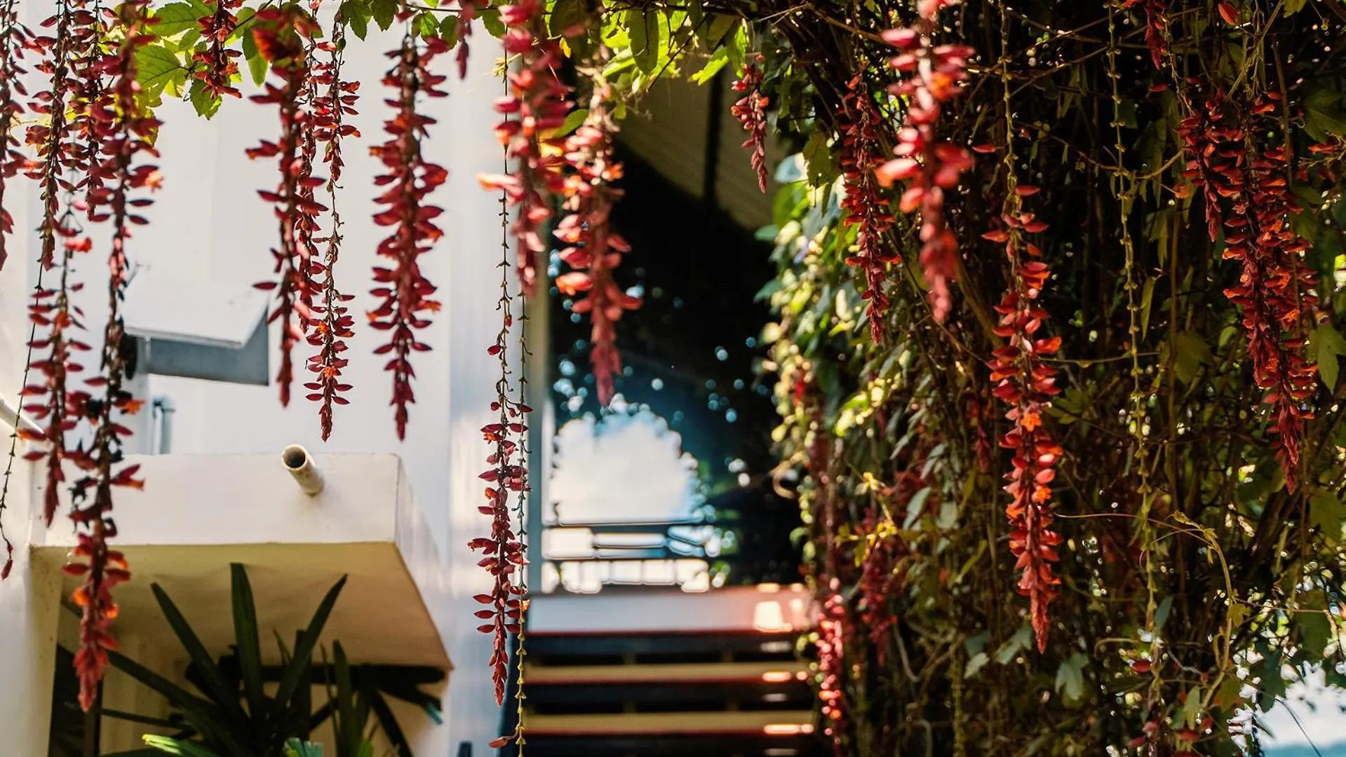 Hotel The Leaf Munnar India